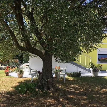 Apartamento Monika *