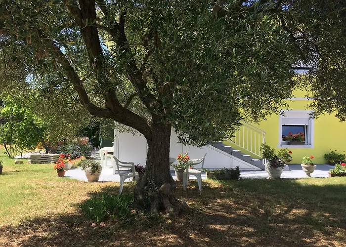 Apartament Monika *