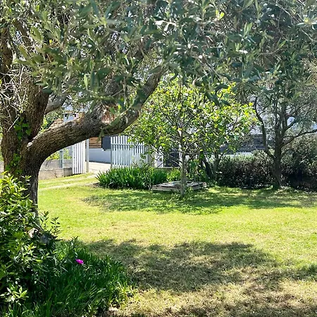 Apartment Monika Bibinje